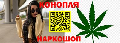гидра Уссурийск