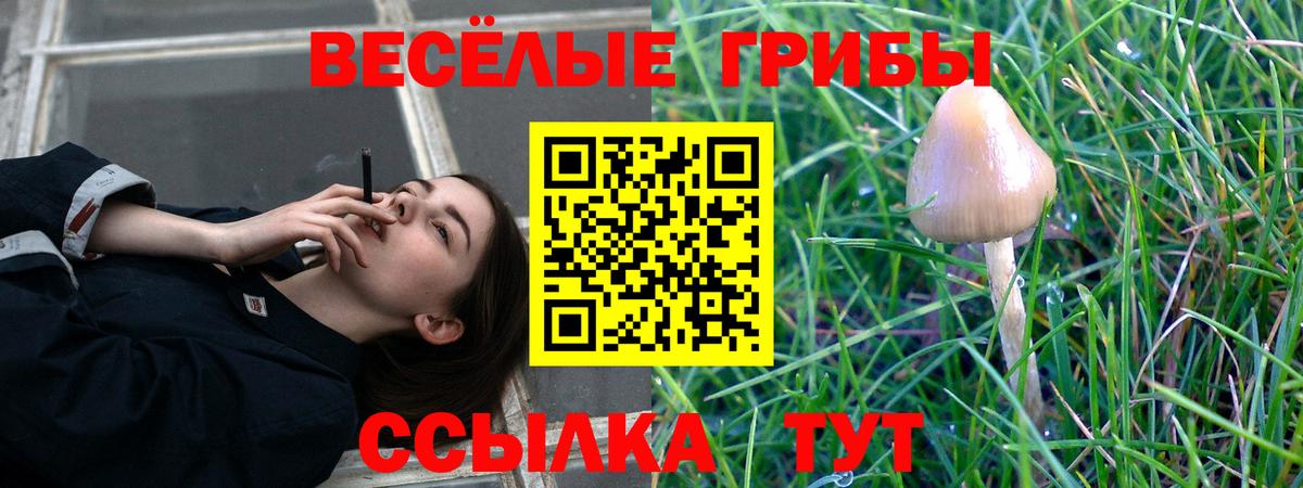 Рославль  Галлюциногенные грибы Psilocybe  Вход с VPN  где продают наркотики  Галлюциногенные грибы ЛСД 