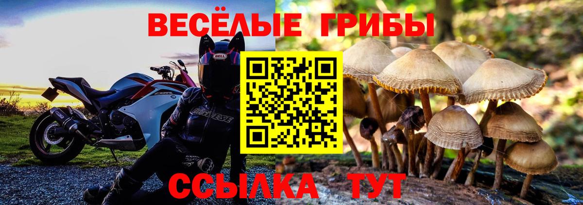 Галлюциногенные грибы мухоморы Рославль